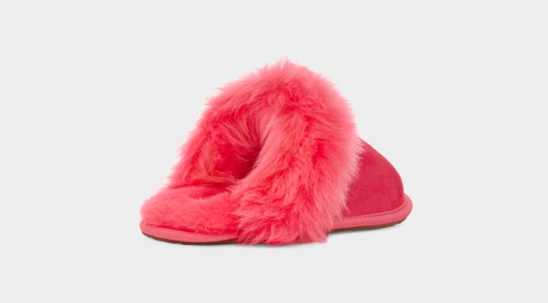 Ugg Scuff Sis Tofflor Dam Rosa | Sverige-91654