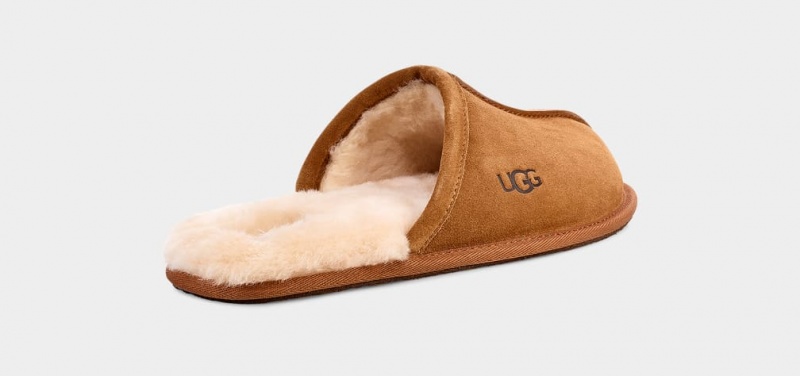 Ugg Scuff Tofflor Herr Bruna | Sverige-73526