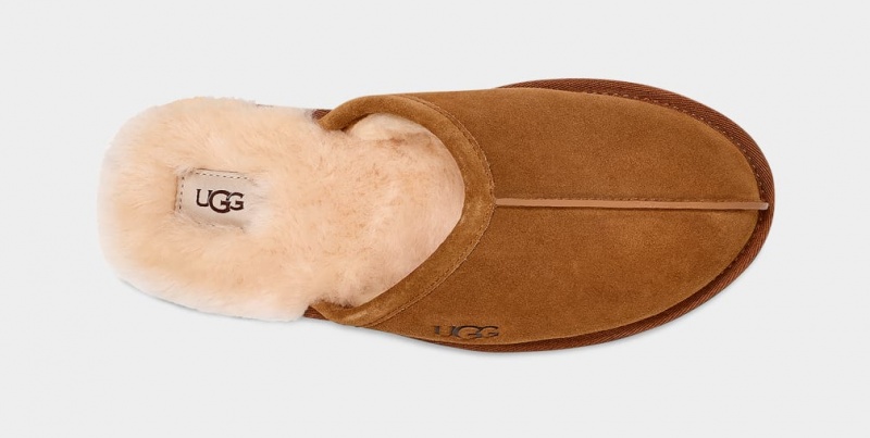 Ugg Scuff Tofflor Herr Bruna | Sverige-73526