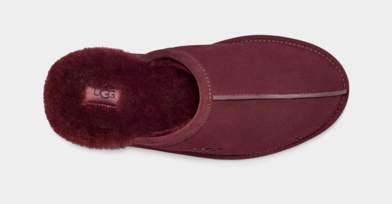 Ugg Scuff Tofflor Herr Lila | Sverige-92450