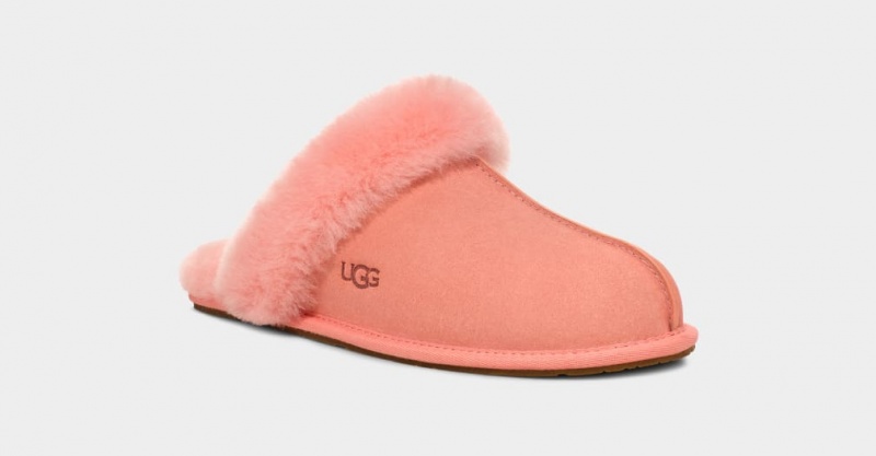 Ugg Scuffette II Tofflor Dam Rosa | Sverige-58739