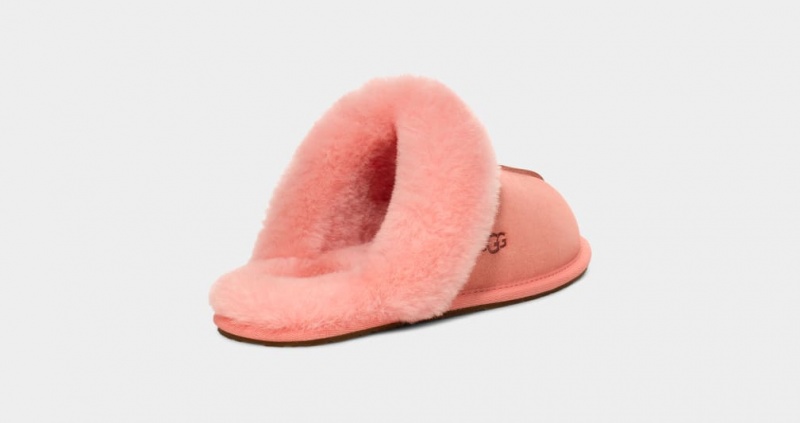 Ugg Scuffette II Tofflor Dam Rosa | Sverige-58739