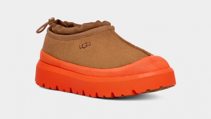 Ugg Tasman Weather Hybrid Tofflor Dam Bruna Orange | Sverige-92560