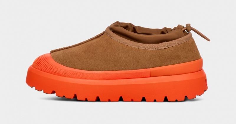 Ugg Tasman Weather Hybrid Tofflor Dam Bruna Orange | Sverige-92560