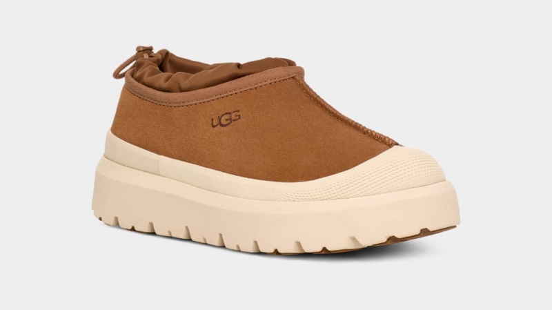 Ugg Tasman Weather Hybrid Tofflor Dam Bruna | Sverige-74931