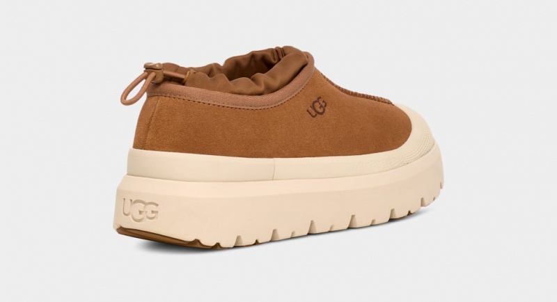 Ugg Tasman Weather Hybrid Tofflor Dam Bruna | Sverige-74931