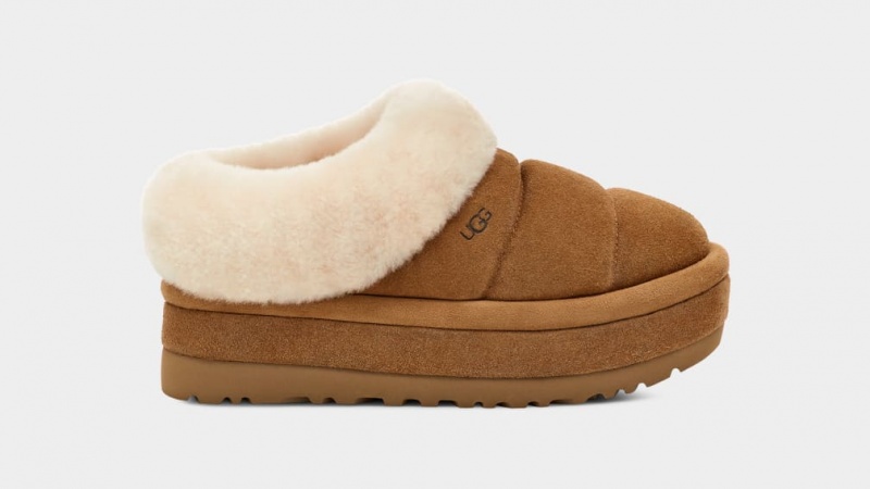 Ugg Tazzlita Tofflor Dam Bruna | Sverige-16497