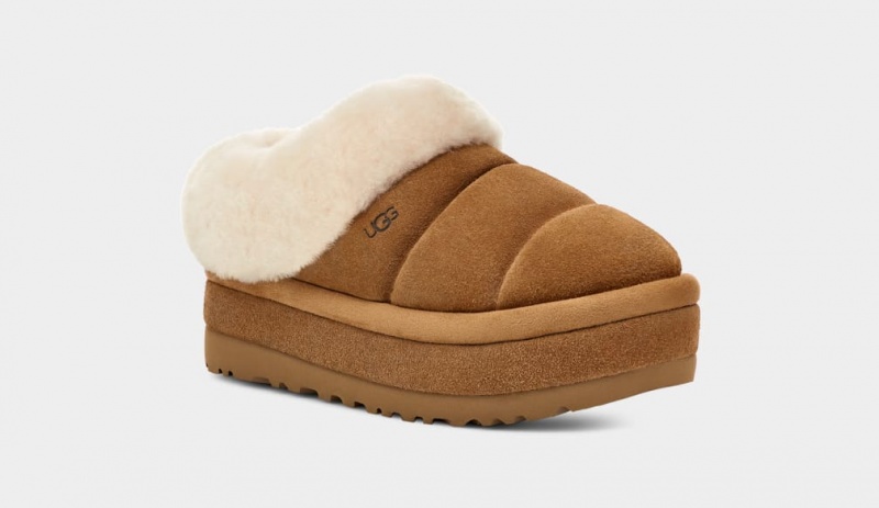 Ugg Tazzlita Tofflor Dam Bruna | Sverige-16497