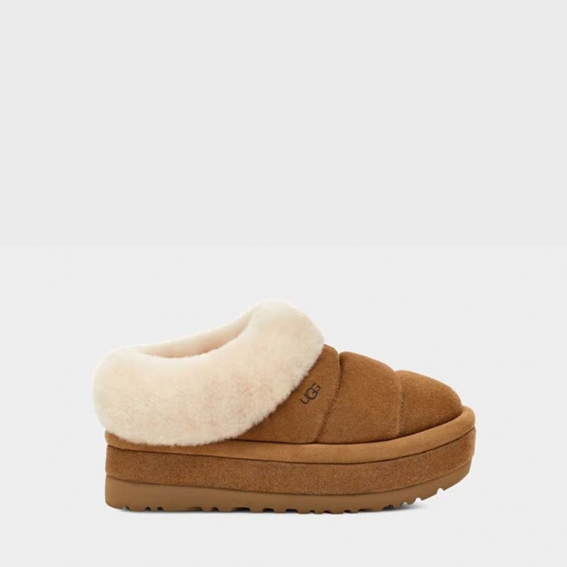 Ugg Tazzlita Tofflor Dam Bruna | Sverige-16497