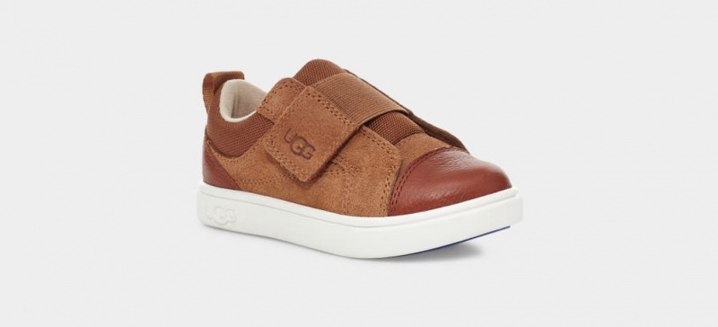 Ugg Toddler Rennon Low Sneakers Barn Bruna | Sverige-38247