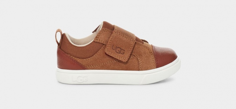 Ugg Toddler Rennon Low Sneakers Barn Bruna | Sverige-38247